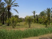 Преддверие Пустыни