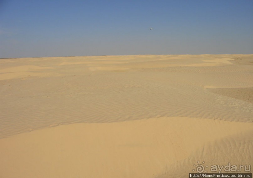 Преддверие Пустыни