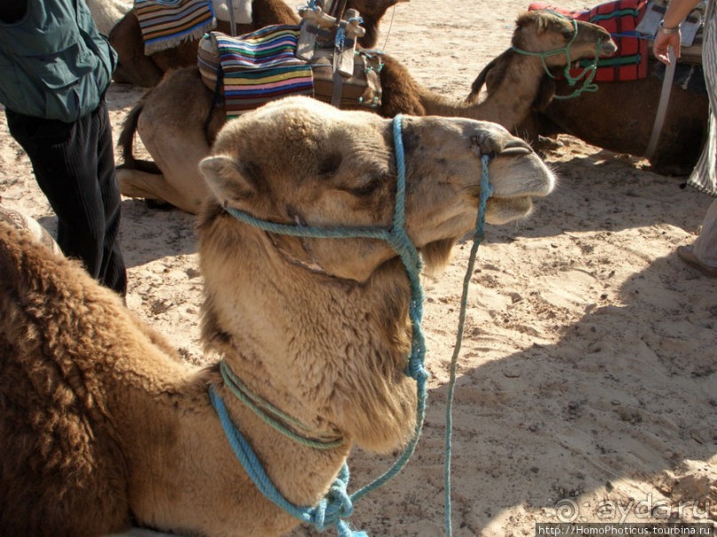 Преддверие Пустыни