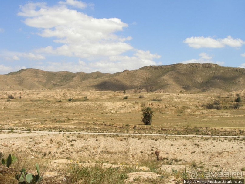 Преддверие Пустыни