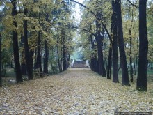 Екатеринбург золотой, Екатеринбург ледяной