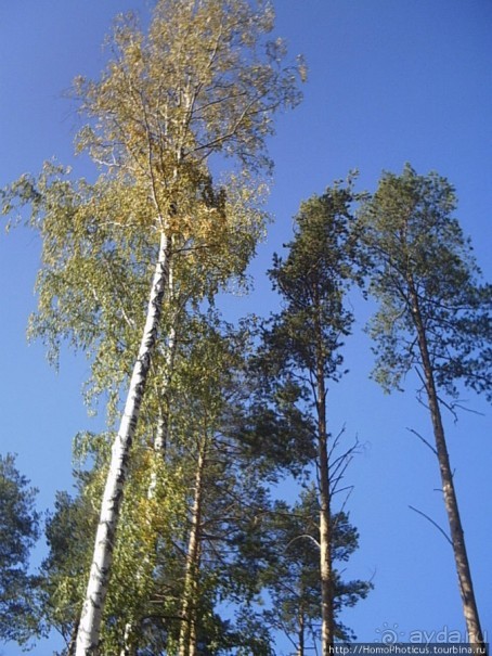 Екатеринбург золотой, Екатеринбург ледяной
