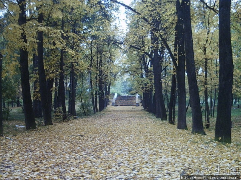 Екатеринбург золотой, Екатеринбург ледяной