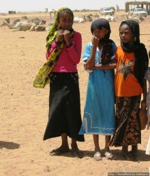 Дискотека по-судански, а также как продают верблюдов стадами