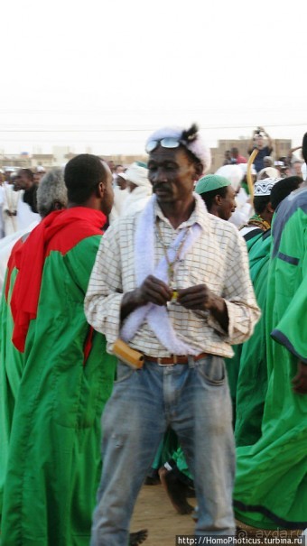 Дискотека по-судански, а также как продают верблюдов стадами