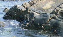 Бенгальский Неаполь