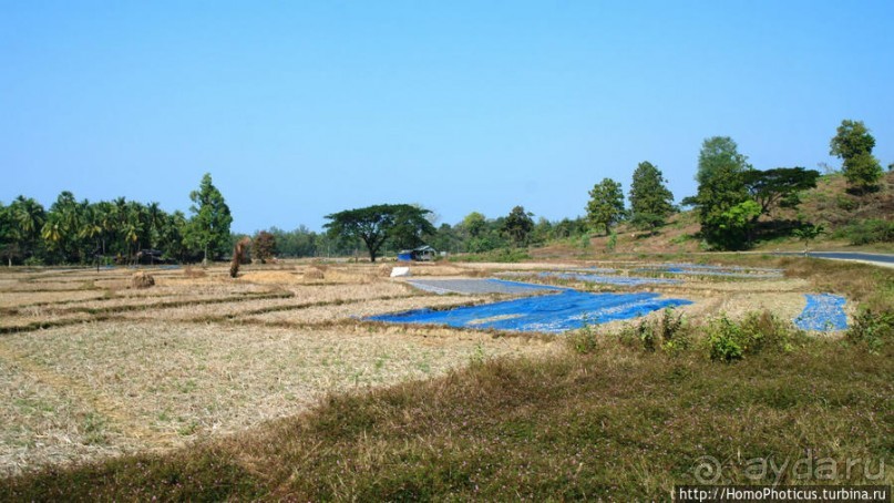 Бенгальский Неаполь