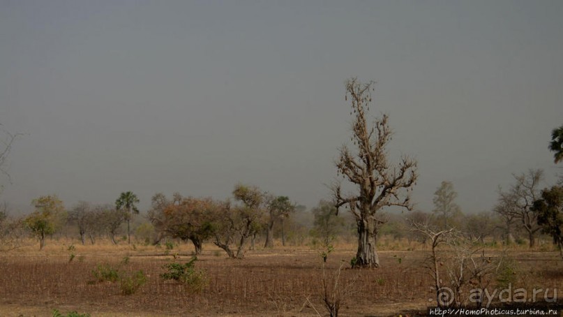 Поселение фульбе