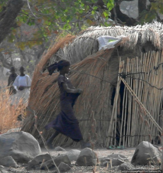 Поселение фульбе