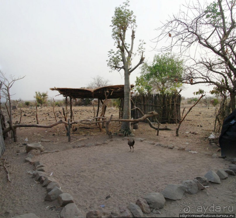 Поселение фульбе