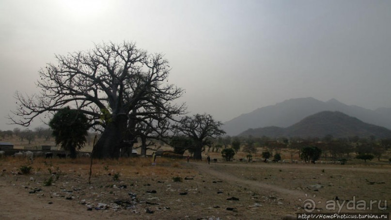 Поселение фульбе