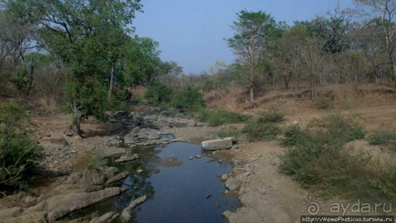 Поселение фульбе