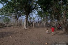 Довайо. Поминки как повод