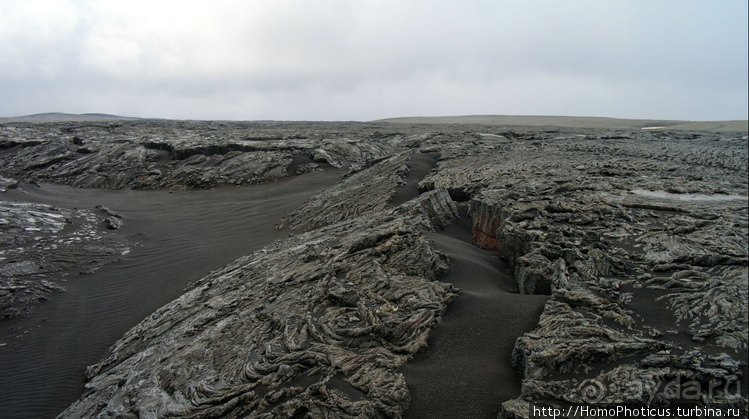 Альбом отзыва "Большая горячая ледяная земля. 3. В гости к голой Гее"