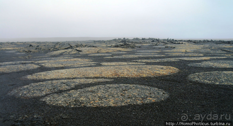 Альбом отзыва "Большая горячая ледяная земля. 3. В гости к голой Гее"