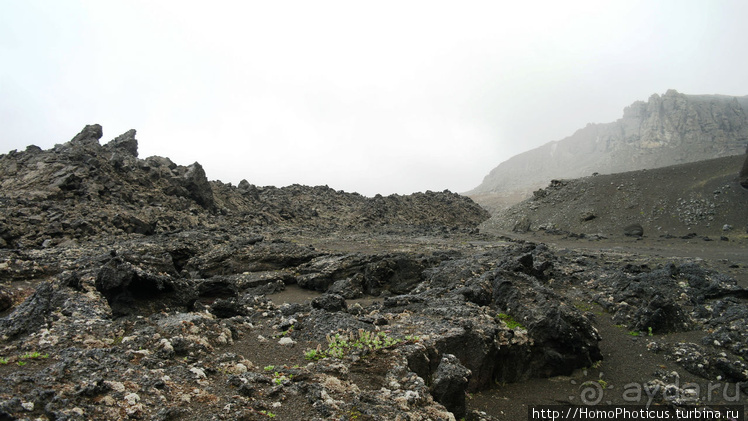 Большая горячая ледяная земля. 3. В гости к голой Гее