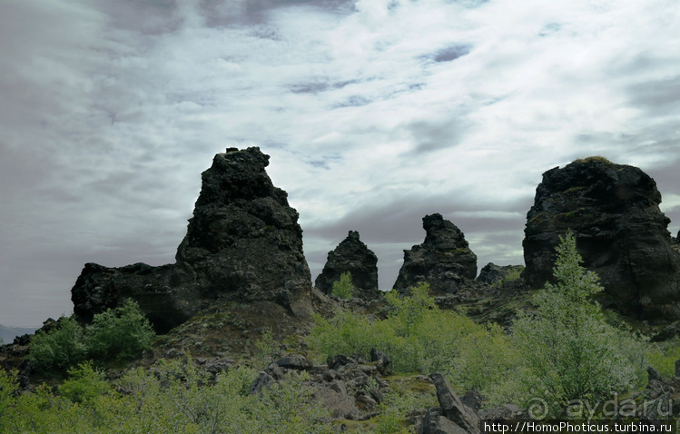 Большая горячая ледяная земля. 3. В гости к голой Гее