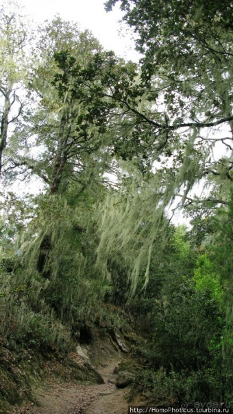 Страна Громового дракона. Часть I: Провинция Паро