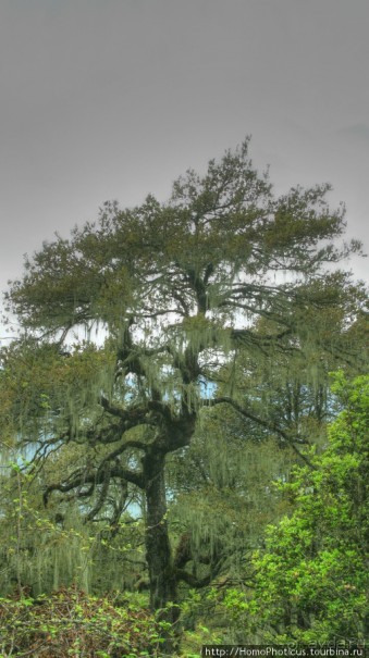 Страна Громового дракона. Часть I: Провинция Паро