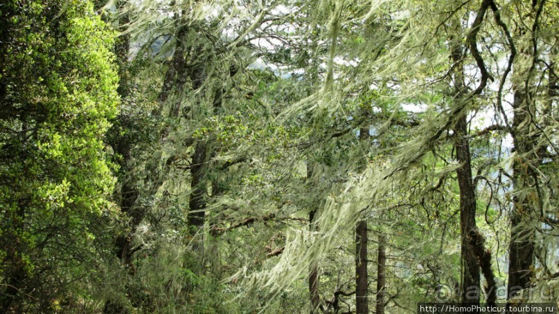 Страна Громового дракона. Часть I: Провинция Паро