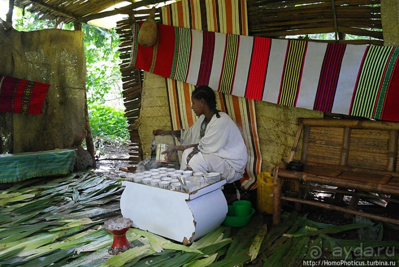 Абиссинские хроники. PS: конкурс африканской красоты