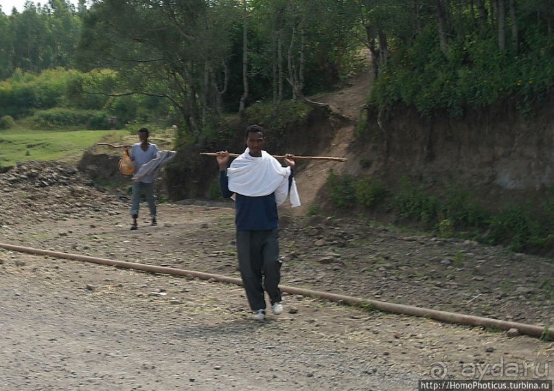 Абиссинские хроники. PS: конкурс африканской красоты