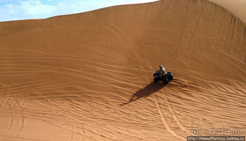 Альбом отзыва "По дюнам на квадроцикле, с дюн на оргалите"