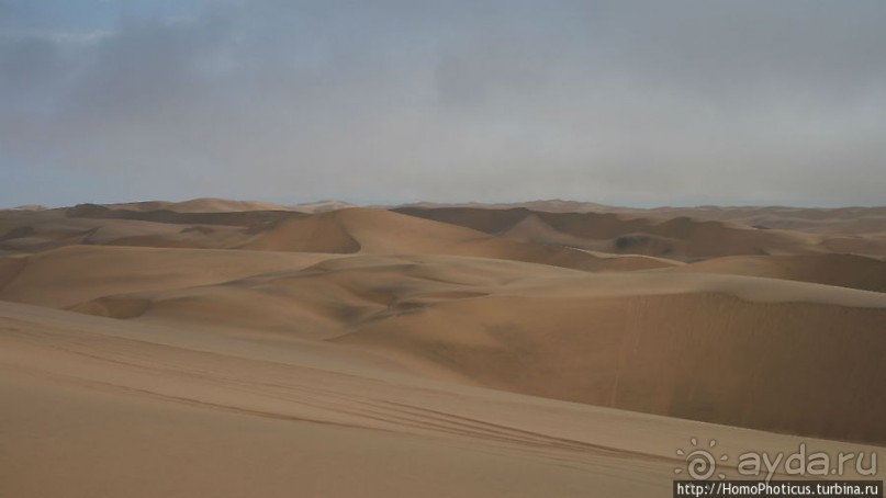 Альбом отзыва "По дюнам на квадроцикле, с дюн на оргалите"