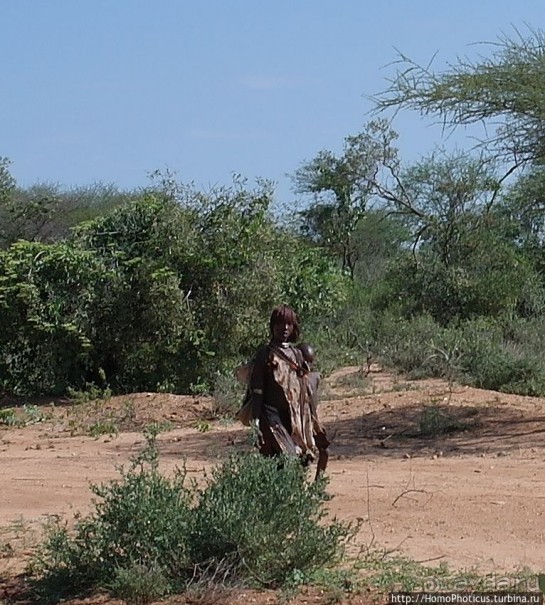 Этнография долины Омо: типажи хамеров