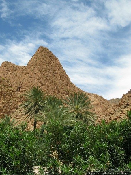 Ущелье треснувшей горы