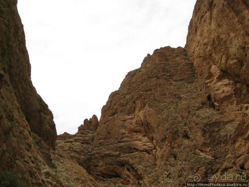 Ущелье треснувшей горы