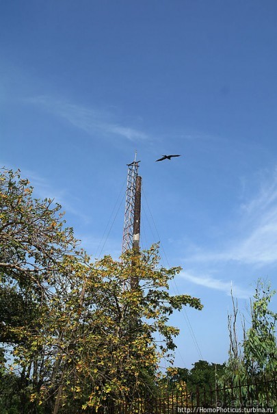 Сортировочная