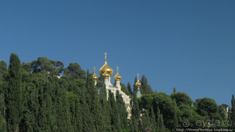 Православные святыни Масличной горы