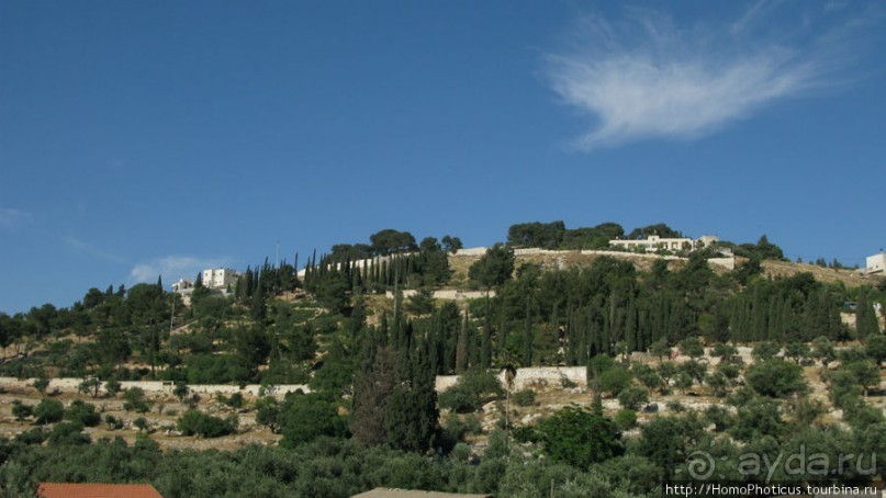 Православные святыни Масличной горы