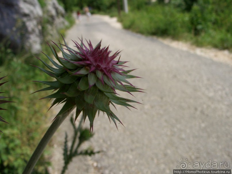 Монтенегрия без пляжа