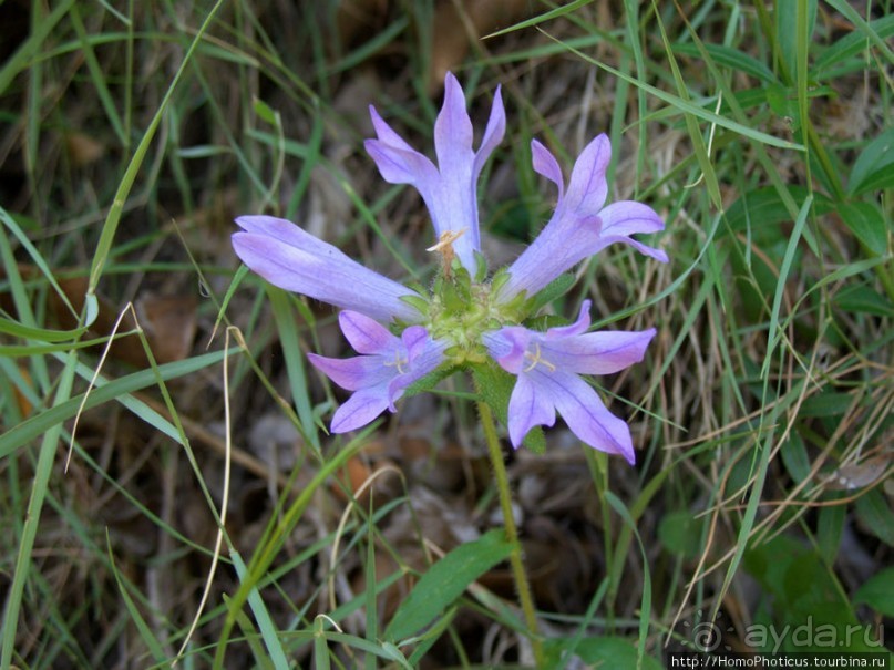 Монтенегрия без пляжа