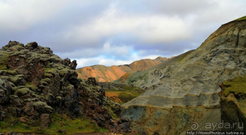 «Купальнямужчинживущихнаэтойземле»