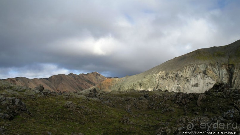 «Купальнямужчинживущихнаэтойземле»
