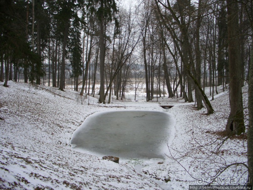 Зимние Пушкинские горы