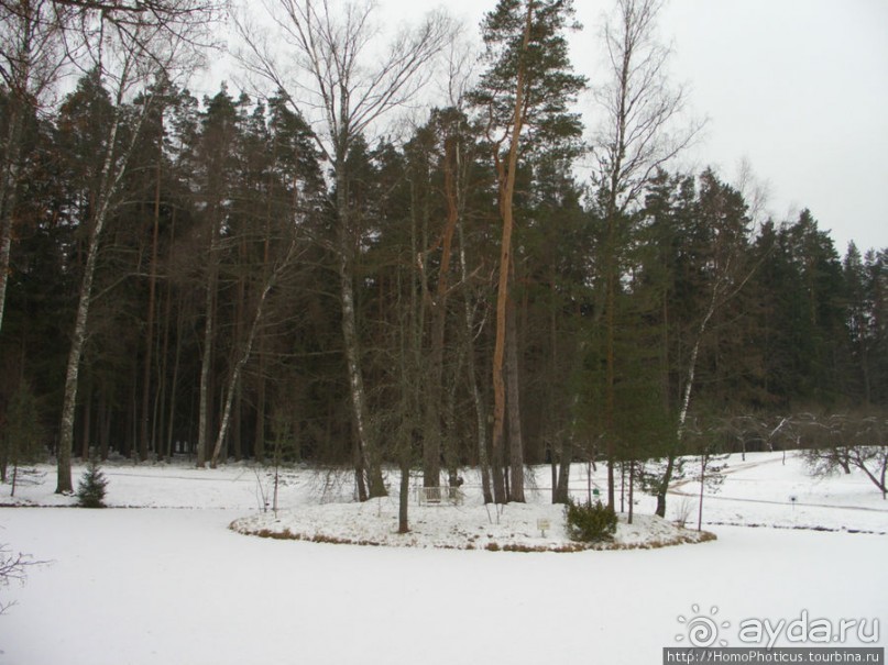 Зимние Пушкинские горы