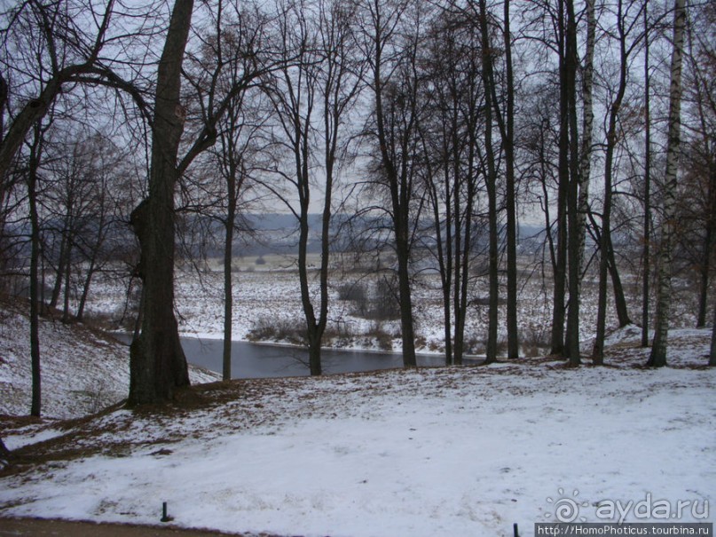 Зимние Пушкинские горы