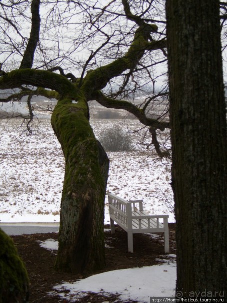 Зимние Пушкинские горы