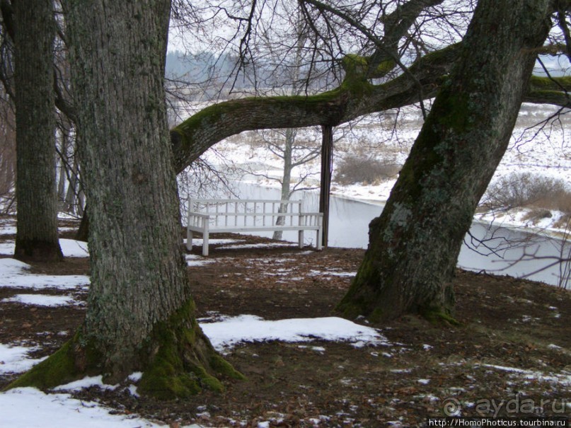 Зимние Пушкинские горы