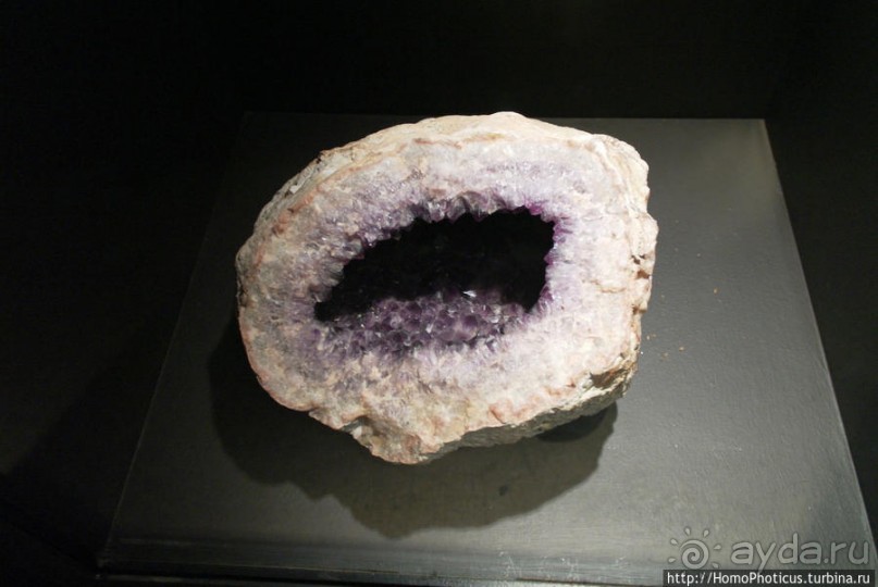 Альбом отзыва "Апартеид и Африка"