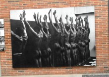 Альбом отзыва "Апартеид и Африка"