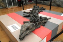 Альбом отзыва "Апартеид и Африка"