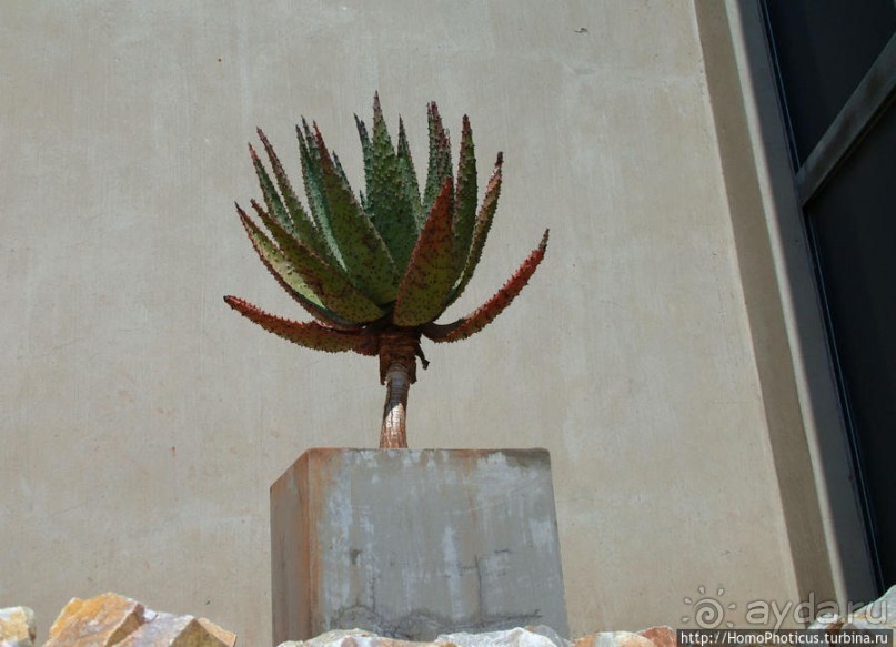 Альбом отзыва "Апартеид и Африка"