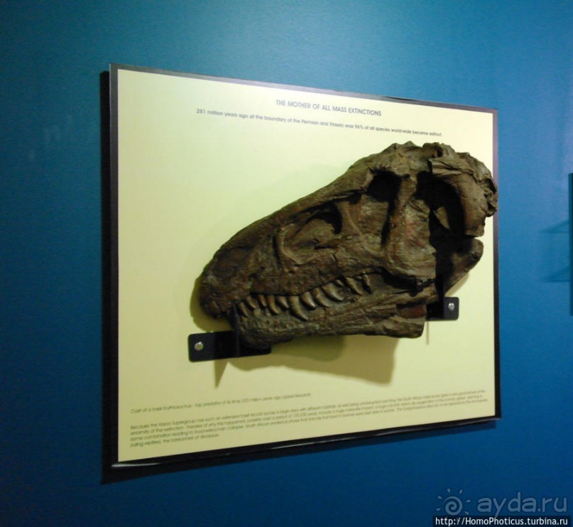 Апартеид и Африка