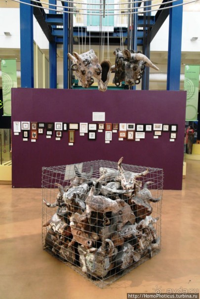 Апартеид и Африка