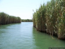 Вдоль залива Гёкова